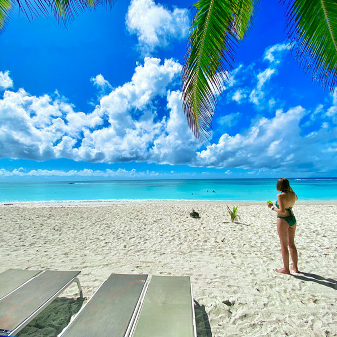 🌴 Discover the Magic of Saona Island – Your Caribbean Escape Awaits! 🌴