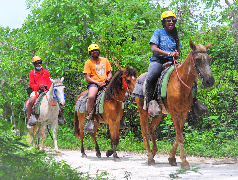 🌴Private Horseback Riding🐎