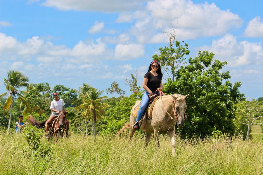 🌴Private Horseback Riding🐎