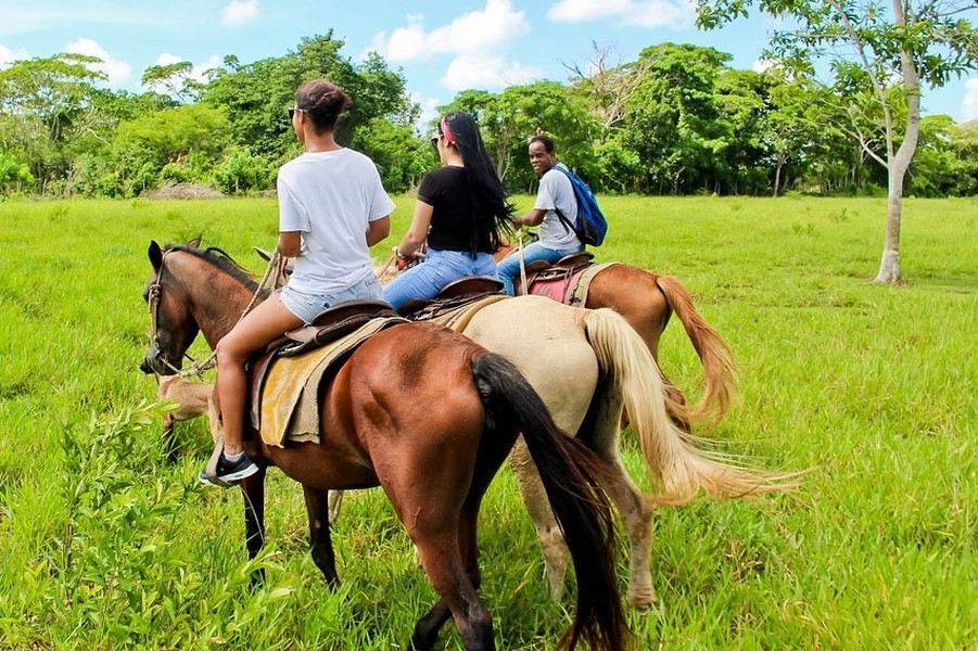 🌴Private Horseback Riding🐎